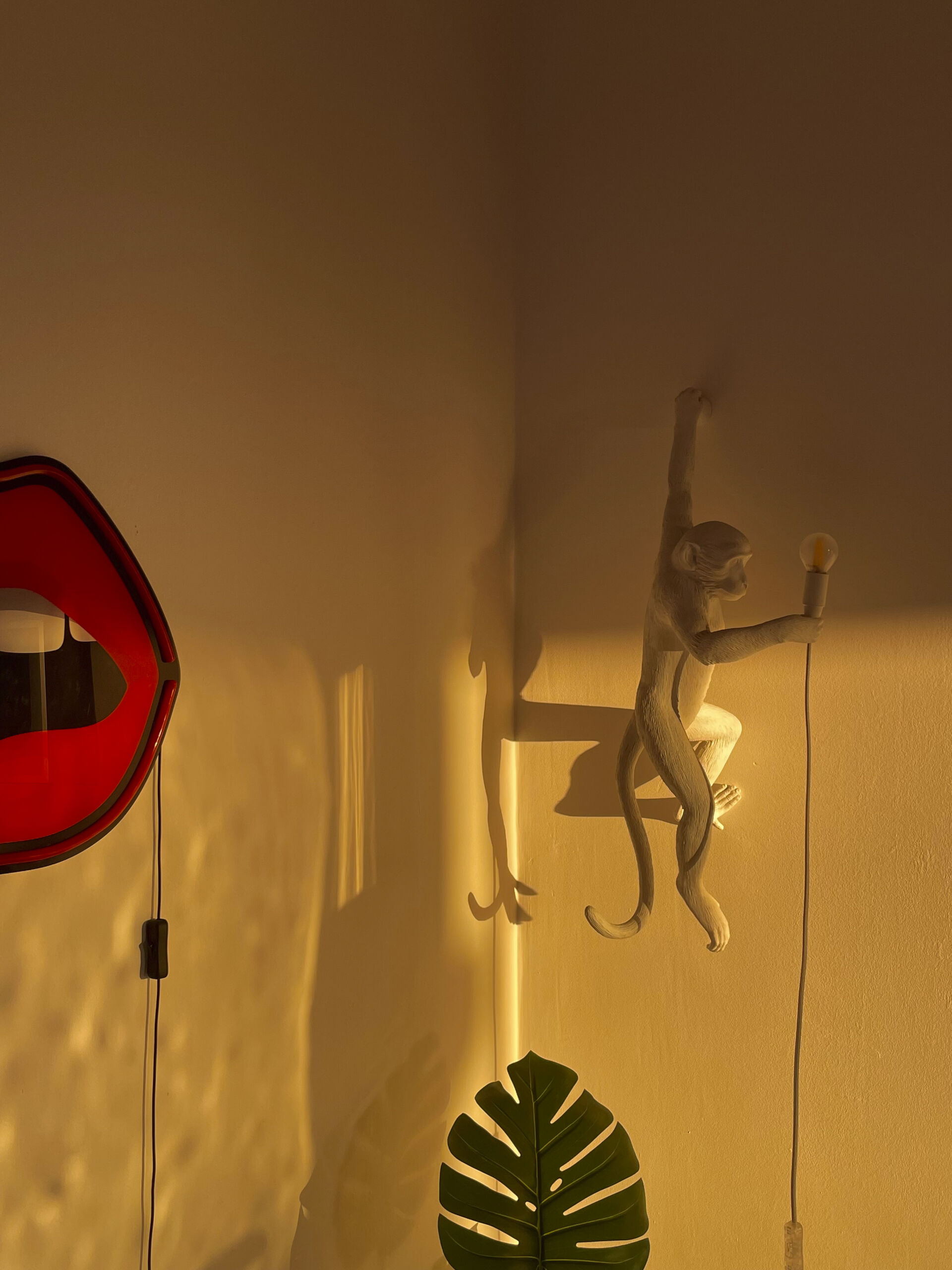 Casa_Shooting_29